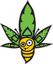 BeKindSeedCompany bee logo